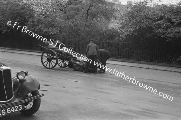 ST STEPHEN'S GREEN HORSE CASUALTY